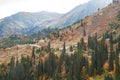 Golden autumn in the mountains of the Zailiyskiy alatau. Royalty Free Stock Photo